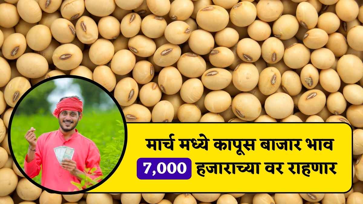 Soyabean rate today 14 february