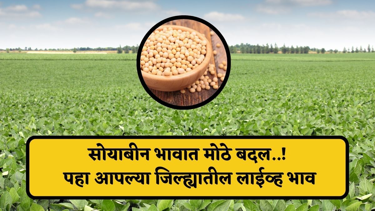 Soyabean rate today 27 february